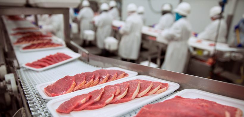 Producto Camélido 2